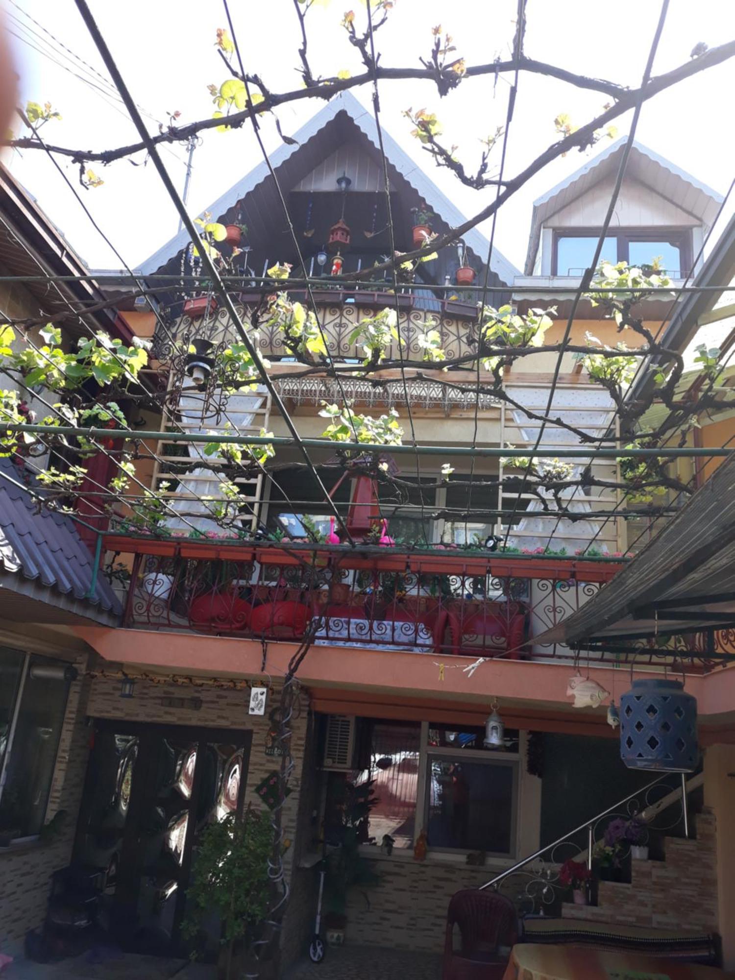 Gabi Guesthouse Köstence Dış mekan fotoğraf